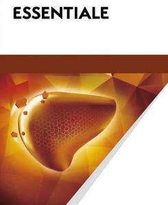 Image for mark UK00004327726 ESSENTIALE