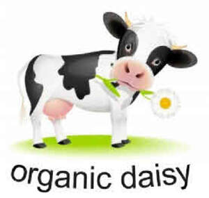 Image for mark UK00004332883 ORGANIC DAISY