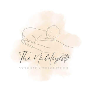 Image for mark UK00004335954 The Nubologists Professional Ultrasound Analysis
