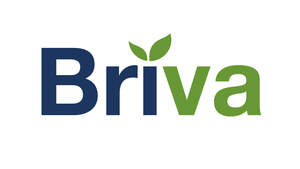 Image for mark UK00004437521 BRIVA