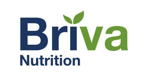 Image for mark UK00004437542 BRIVA NUTRITION