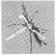 Mark Image