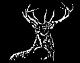 Mark Image