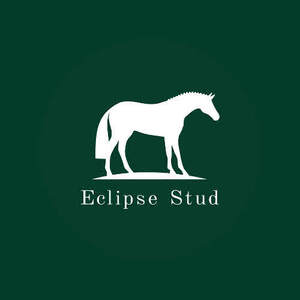 Image for mark UK00004236811 ECLIPSE STUD