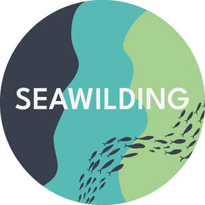 Image for mark UK00004203896 SEAWILDING