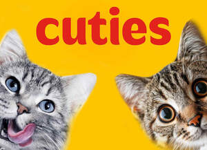 Image for mark UK00004239651 CUTIES