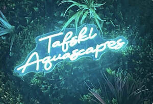 Image for mark UK00004239793 TafskiAquascapes