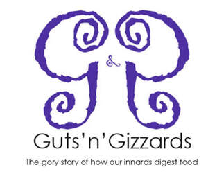 Image for mark UK00004257471 GUTS'N'GIZZARDS THE GORY STORY OF HOW OUR INNARDS DIGEST FOOD