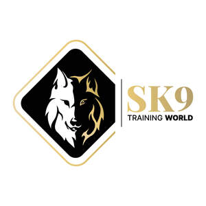 Image for mark UK00004260537 SK9 TRAINING WORLD