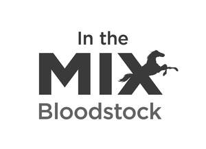 Image for mark UK00004260991_1of4 IN THE MIX BLOODSTOCK