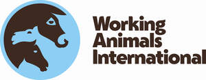 Image for mark UK00004261018 WORKING ANIMALS INTERNATIONAL