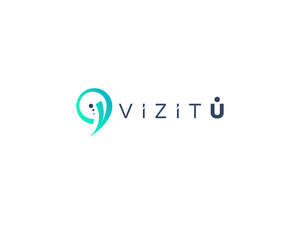Image for mark UK00004295473 VIZITU