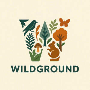 Image for mark UK00004298262 WILDGROUND