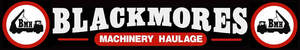 Image for mark UK00004300296_2of2 