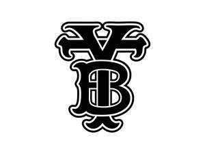 Image for mark UK00004310412 Y T B