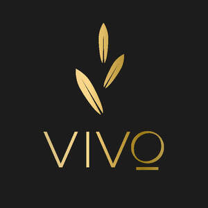 Image for mark UK00004293449 VIVo