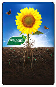 Image for mark UK00004343189_1of2 WESTLAND