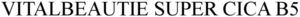 Image for mark 1914044 VITALBEAUTIE SUPER CICA B5