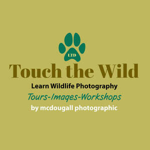 Image for mark UK00004431619 LTD TOUCH THE WILD LEARN WILDLIFE PHOTOGRAPHY TOURS-IMAGES-WORKSHOPS BY MCDOUGALL PHOTOGRAPHIC