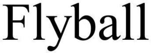 Image for mark 1925321 FLYBALL